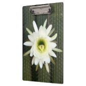 Porte-bloc Fleur De Cactus De Nuit, Région De Karoo (Gauche)