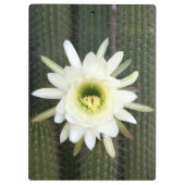 Porte-bloc Fleur De Cactus De Nuit, Région De Karoo (Dos)