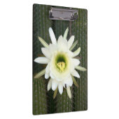 Porte-bloc Fleur De Cactus De Nuit, Région De Karoo (Swatch)