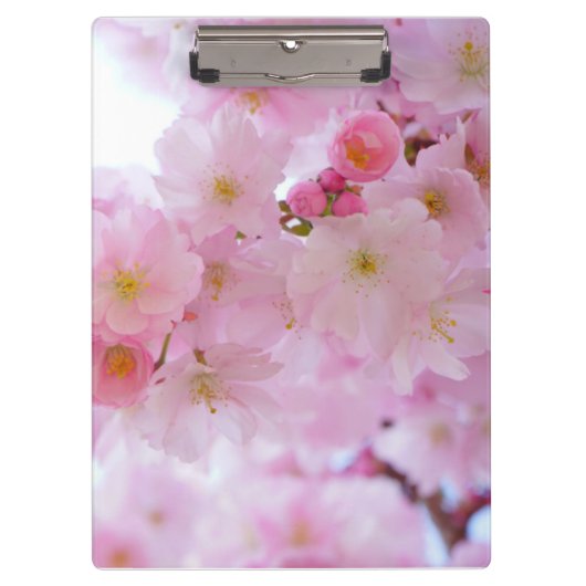 Porte-bloc Fleur de cerisiers (Devant)