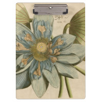 Fleur de Lotus bleu sur l'arrière - plan bronzage