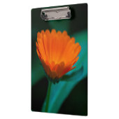 Porte-bloc Fleur de marguerite orange (Gauche)
