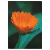 Porte-bloc Fleur de marguerite orange (Dos)