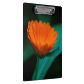 Porte-bloc Fleur de marguerite orange (Swatch)