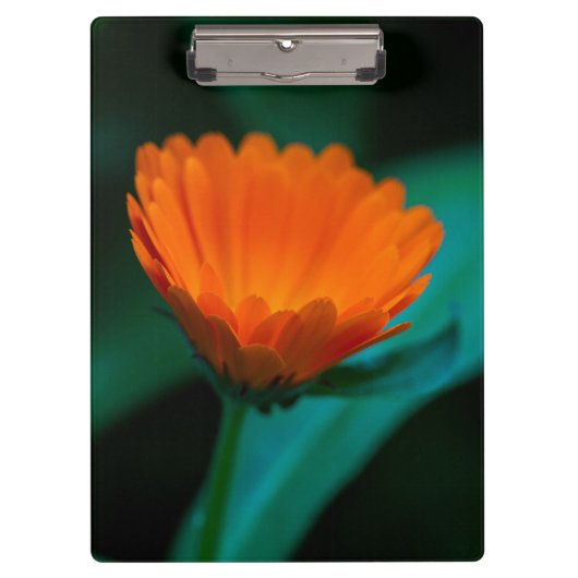 Porte-bloc Fleur de marguerite orange (Devant)