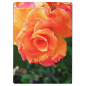 Porte-bloc Fleur de rose orange (Dos)