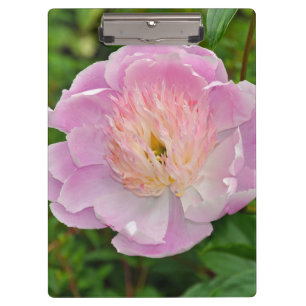 Porte-bloc Fleur de tourbe rose