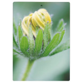 Porte-bloc Fleur D'Ouverture De La Fleur De Cône (Dos)