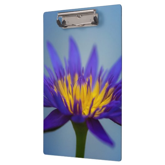 Porte-bloc Fleur Lily d'eau violette (Gauche)