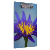 Porte-bloc Fleur Lily d'eau violette (Swatch)