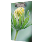 Porte-bloc Fleur Ouverte De Cone Flower (Gauche)