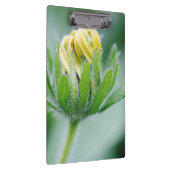 Porte-bloc Fleur Ouverte De Cone Flower (Swatch)