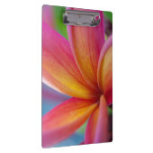 Porte-bloc Fleur Plumeria Tropicale Rose Profond Jaune Orange (Swatch)