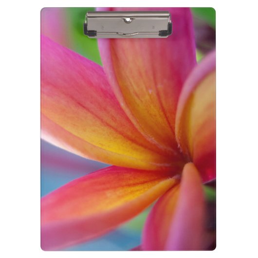Porte-bloc Fleur Plumeria Tropicale Rose Profond Jaune Orange (Devant)