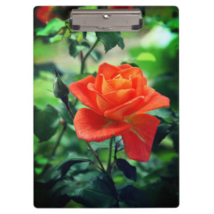 Porte-bloc Fleur rose de la nature
