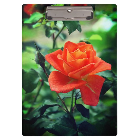 Porte-bloc Fleur rose de la nature (Devant)
