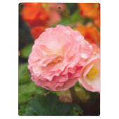 Porte-bloc Fleur rose délicate après la pluie (Dos)