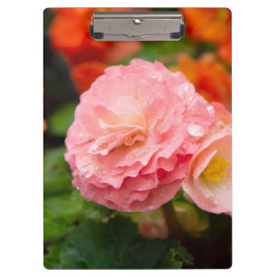 Porte-bloc Fleur rose délicate après la pluie