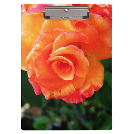 Porte-bloc Fleur rose orange (Devant)