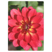 Porte-bloc Fleur Ruby Red Dahlia (Dos)