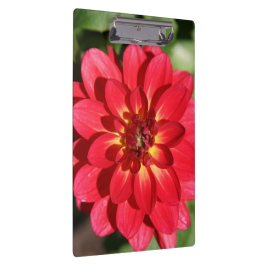 Porte-bloc Fleur Ruby Red Dahlia (Swatch)