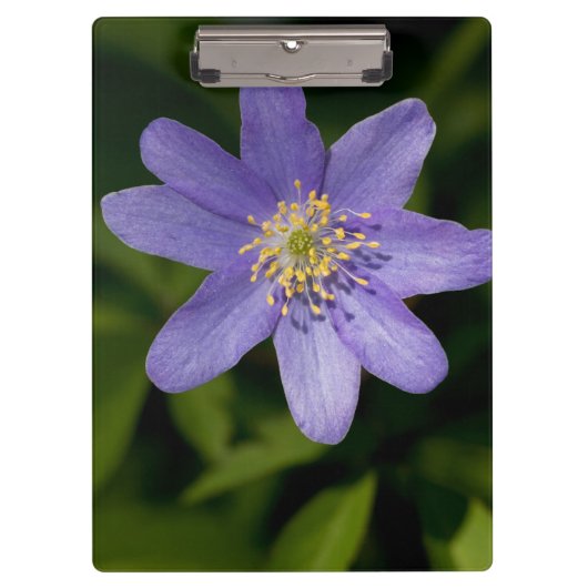 Porte-bloc Fleur sauvage (Devant)