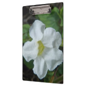 Porte-bloc Fleur tropicale blanche trouvée à Fidji (Gauche)