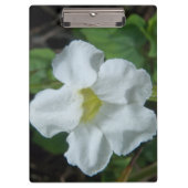 Porte-bloc Fleur tropicale blanche trouvée à Fidji (Devant)