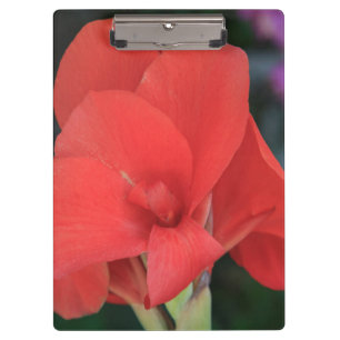 Porte-bloc Fleur trouvée dans les jardins du D. Carlos I