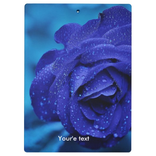 Porte-bloc Fleur unique de rose de bleu (Dos)