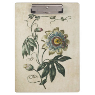 Porte-bloc Fleur vintage de passion végétale