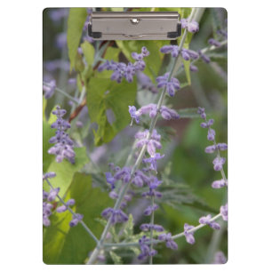 porte-bloc fleur violette jardin photographie beau
