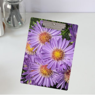 Porte-bloc Fleurs d'aster violettes Floral