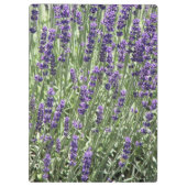 Porte-bloc Fleurs de lavande violet Floral (Dos)