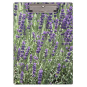 Porte-bloc Fleurs de lavande violet Floral (Devant)