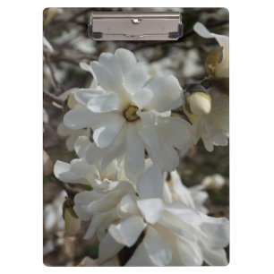 Porte-bloc Fleurs de Magnolia étoilé
