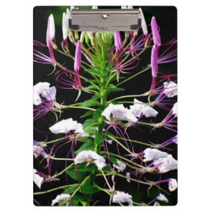 Porte-bloc Fleurs de papillons abeilles nature animal art de