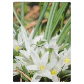 Porte-bloc Fleurs de printemps (Dos)
