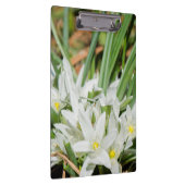 Porte-bloc Fleurs de printemps (Swatch)