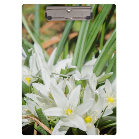 Porte-bloc Fleurs de printemps (Devant)