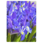 Porte-bloc Fleurs d'Iris (Dos)