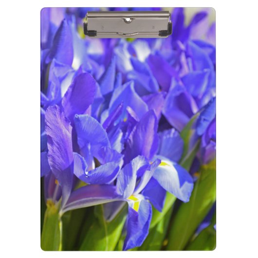 Porte-bloc Fleurs d'Iris (Devant)