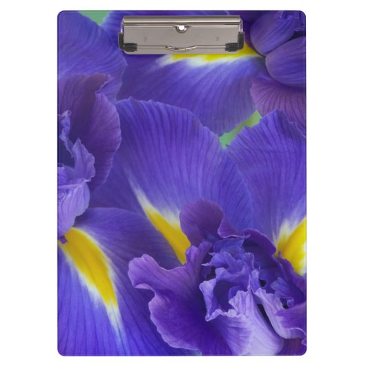 Porte-bloc Fleurs d'iris (Devant)