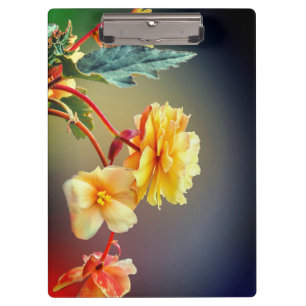 Porte-bloc Fleurs, Fleurs Jaunes, Pétales-63158