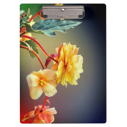 Porte-bloc Fleurs, Fleurs Jaunes, Pétales-63158 (Devant)