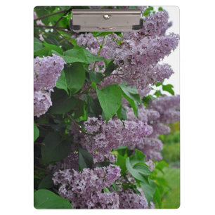 Porte-bloc Fleurs lilas de printemps pourpres