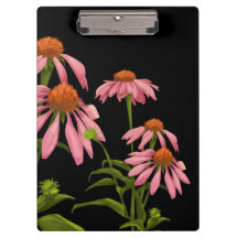 fleurs pincées colorées sur un arrière - plan noir