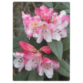 Porte-bloc Fleurs roses Rhododendron Floral (Dos)