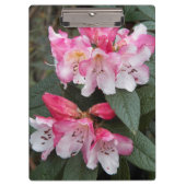 Porte-bloc Fleurs roses Rhododendron Floral (Devant)