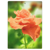 Porte-bloc Fleurs Roses romantiques #2 (Dos)